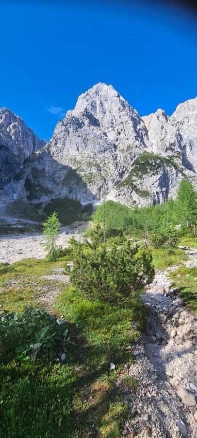 Apartma Vidic Gozd Martuljek Exteriér fotografie