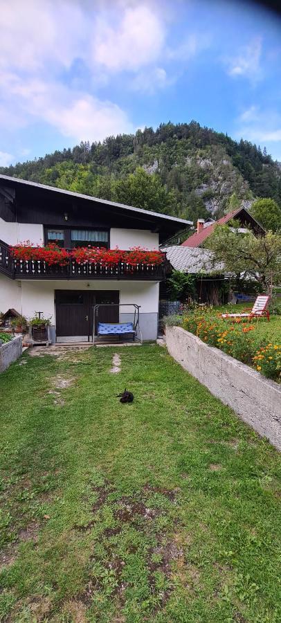 Apartma Vidic Gozd Martuljek Exteriér fotografie