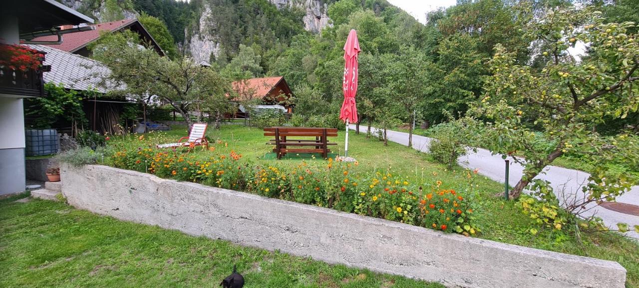Apartma Vidic Gozd Martuljek Exteriér fotografie
